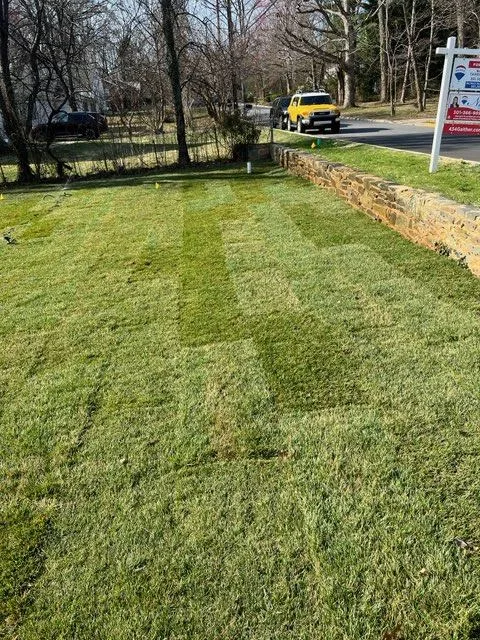 Residential sod installation by Actaeon in Maryland